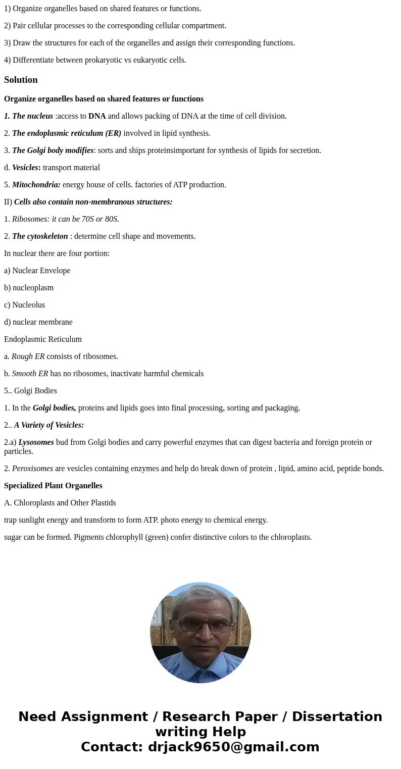 1) Organize organelles based on shared features or functions. 2) Pair cellular processes to the corresponding cellular compartment. 3) Draw the structures for e