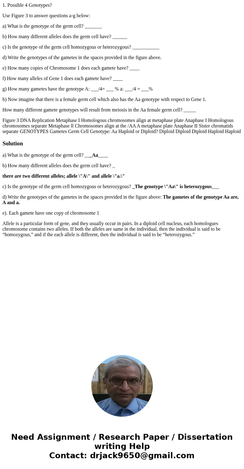 1. Possible 4 Genotypes? Use Figure 3 to answer questions a-g below: a) What is the genotype of the germ cell? _______ b) How many different alleles does the ge 1. Possible 4 Genotypes? Use Figure 3 to answer questions a-g below: a) What is the genotype of the germ cell? _______ b) How many different alleles does the ge