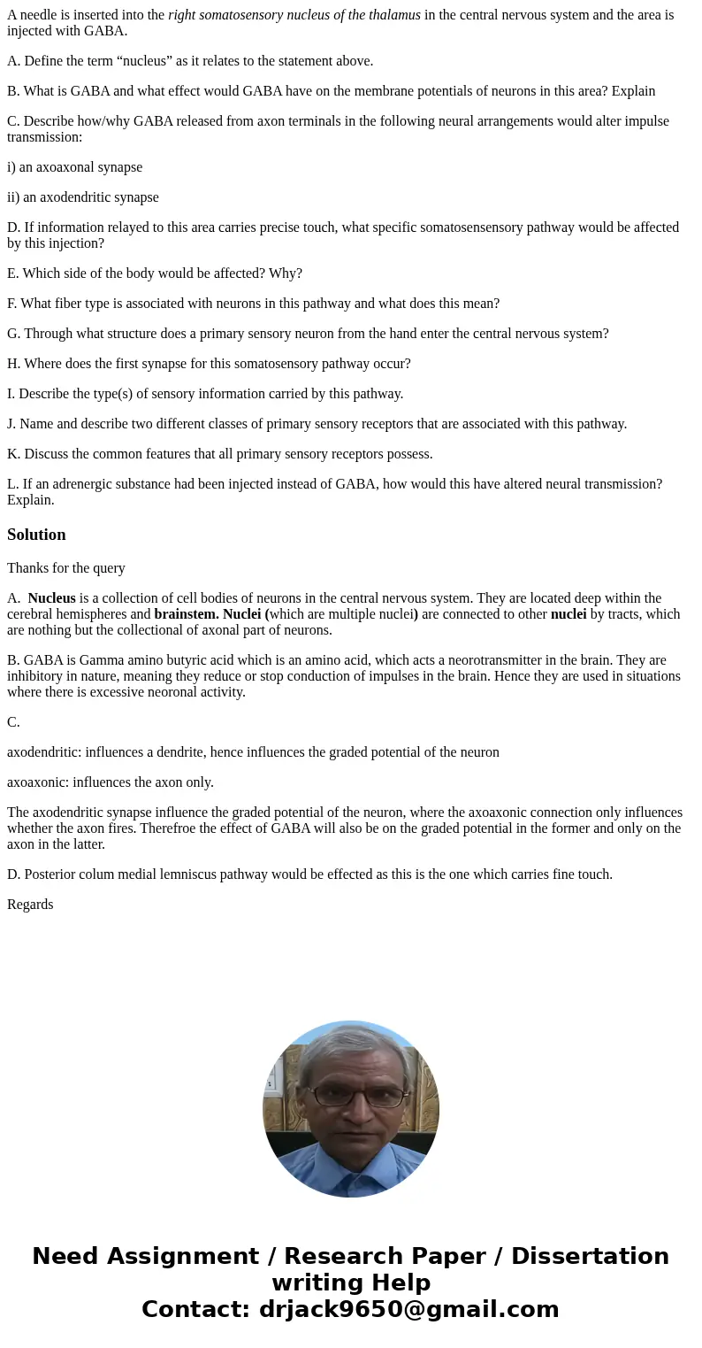 A needle is inserted into the right somatosensory nucleus of the thalamus in the central nervous system and the area is injected with GABA. A. Define the term “ A needle is inserted into the right somatosensory nucleus of the thalamus in the central nervous system and the area is injected with GABA. A. Define the term “