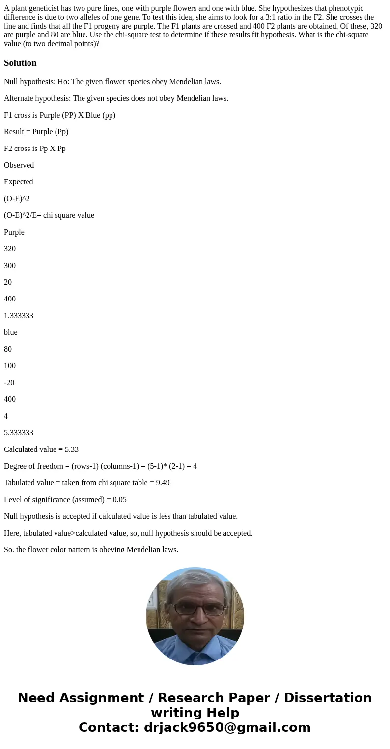  A plant geneticist has two pure lines, one with purple flowers and one with blue. She hypothesizes that phenotypic difference is due to two alleles of one gene