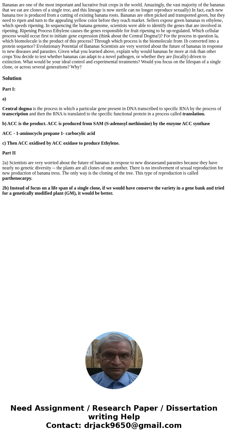  Bananas are one of the most important and lucrative fruit crops in the world. Amazingly, the vast majority of the bananas that we eat are clones of a single tr