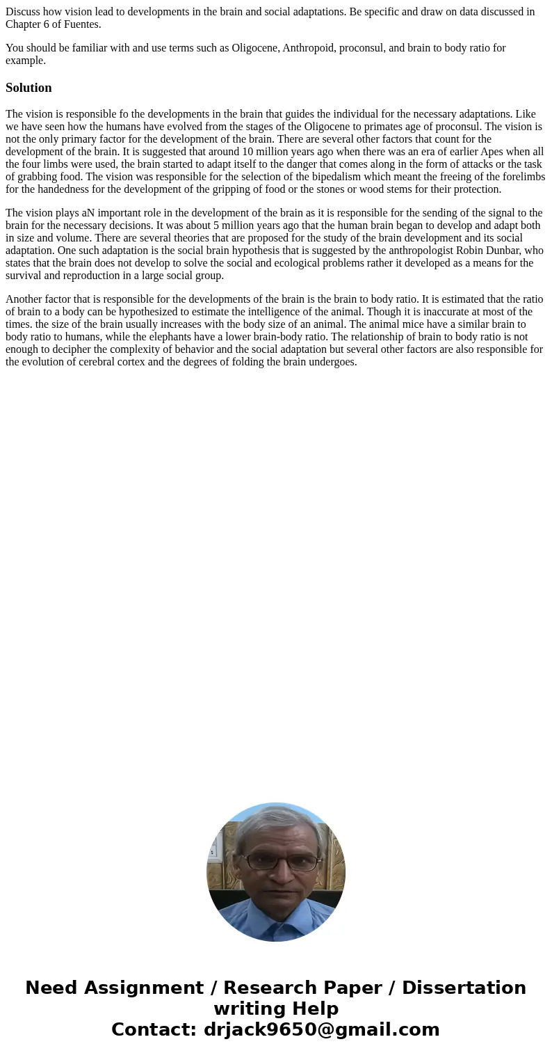 Discuss how vision lead to developments in the brain and social adaptations. Be specific and draw on data discussed in Chapter 6 of Fuentes. You should be famil