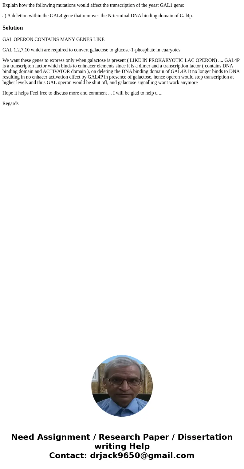 Explain how the following mutations would affect the transcription of the yeast GAL1 gene: a) A deletion within the GAL4 gene that removes the N-terminal DNA bi