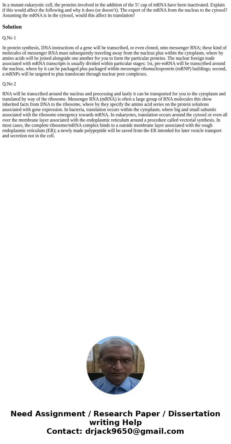  In a mutant eukaryotic cell, the proteins involved in the addition of the 5\' cap of mRNA have been inactivated. Explain if this would affect the following and