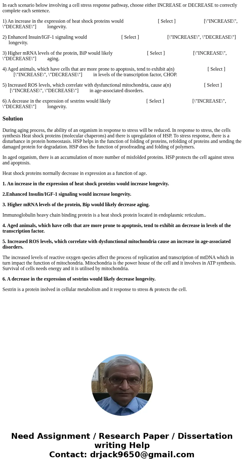 In each scenario below involving a cell stress response pathway, choose either INCREASE or DECREASE to correctly complete each sentence. 1) An increase in the e