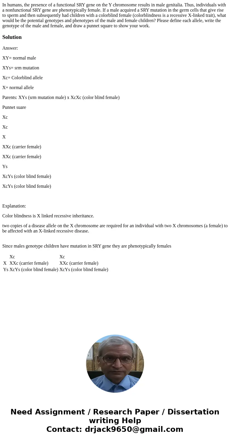In humans, the presence of a functional SRY gene on the Y chromosome results in male genitalia. Thus, individuals with a nonfunctional SRY gene are phenotypica  In humans, the presence of a functional SRY gene on the Y chromosome results in male genitalia. Thus, individuals with a nonfunctional SRY gene are phenotypica