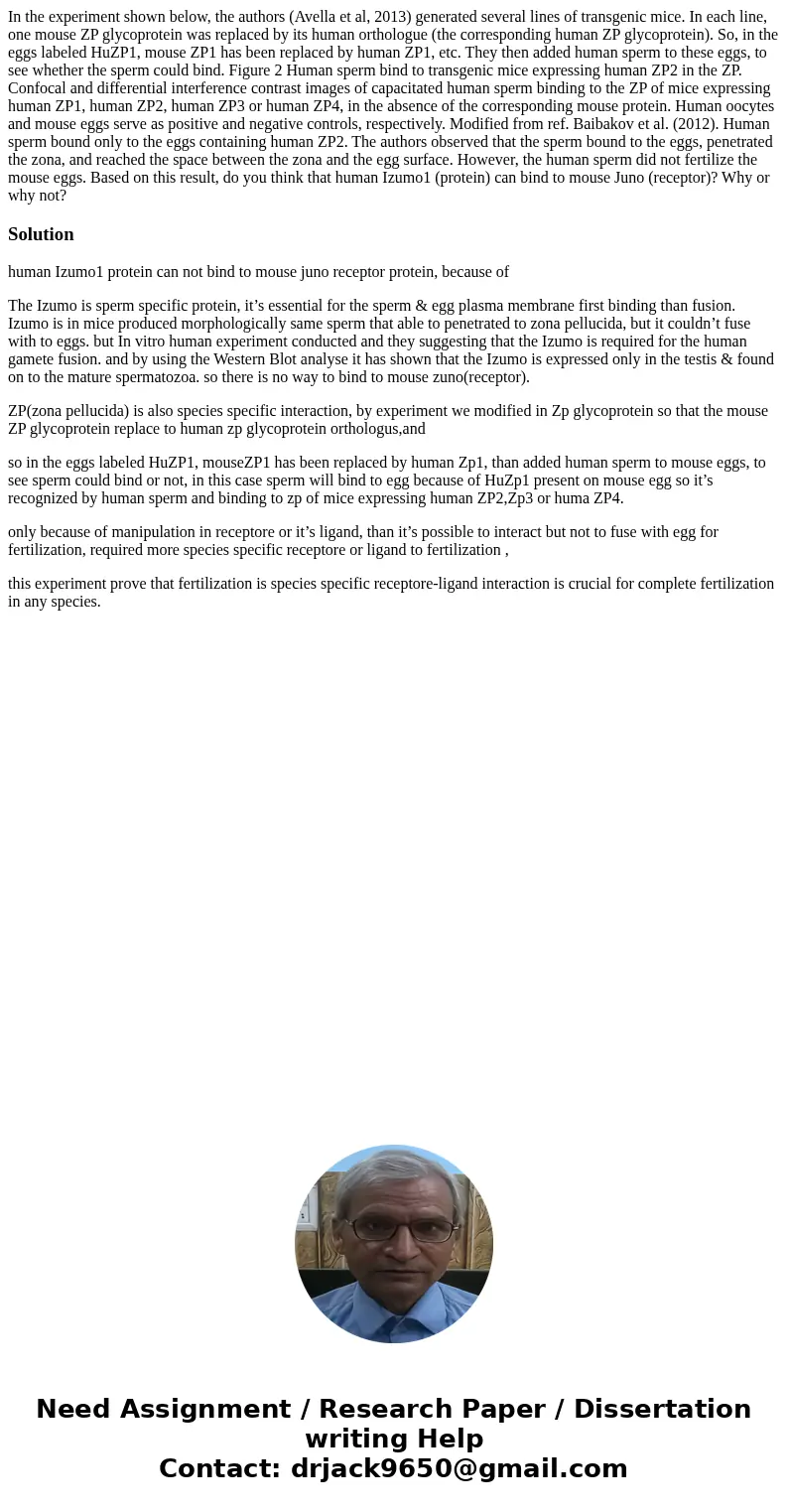 In the experiment shown below, the authors (Avella et al, 2013) generated several lines of transgenic mice. In each line, one mouse ZP glycoprotein was replace  In the experiment shown below, the authors (Avella et al, 2013) generated several lines of transgenic mice. In each line, one mouse ZP glycoprotein was replace