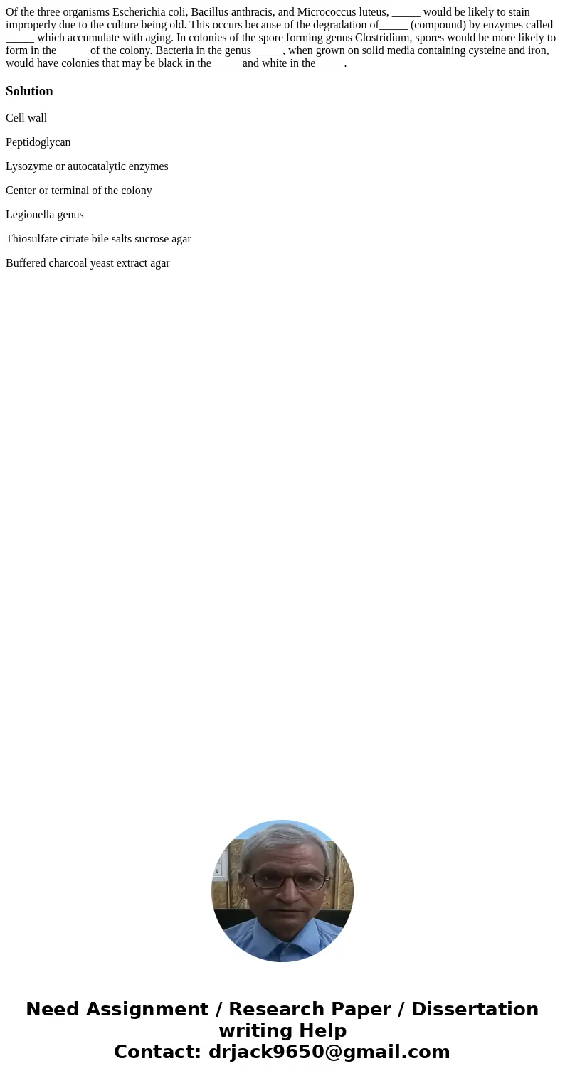 Of the three organisms Escherichia coli, Bacillus anthracis, and Micrococcus luteus, _____ would be likely to stain improperly due to the culture being old. Th  Of the three organisms Escherichia coli, Bacillus anthracis, and Micrococcus luteus, _____ would be likely to stain improperly due to the culture being old. Th