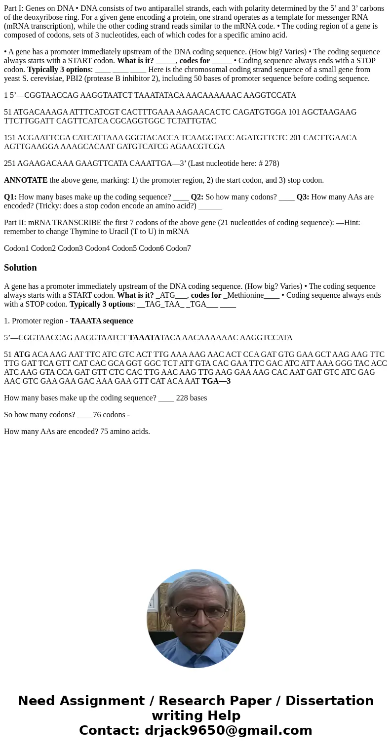 Part I: Genes on DNA • DNA consists of two antiparallel strands, each with polarity determined by the 5’ and 3’ carbons of the deoxyribose ring. For a given gen