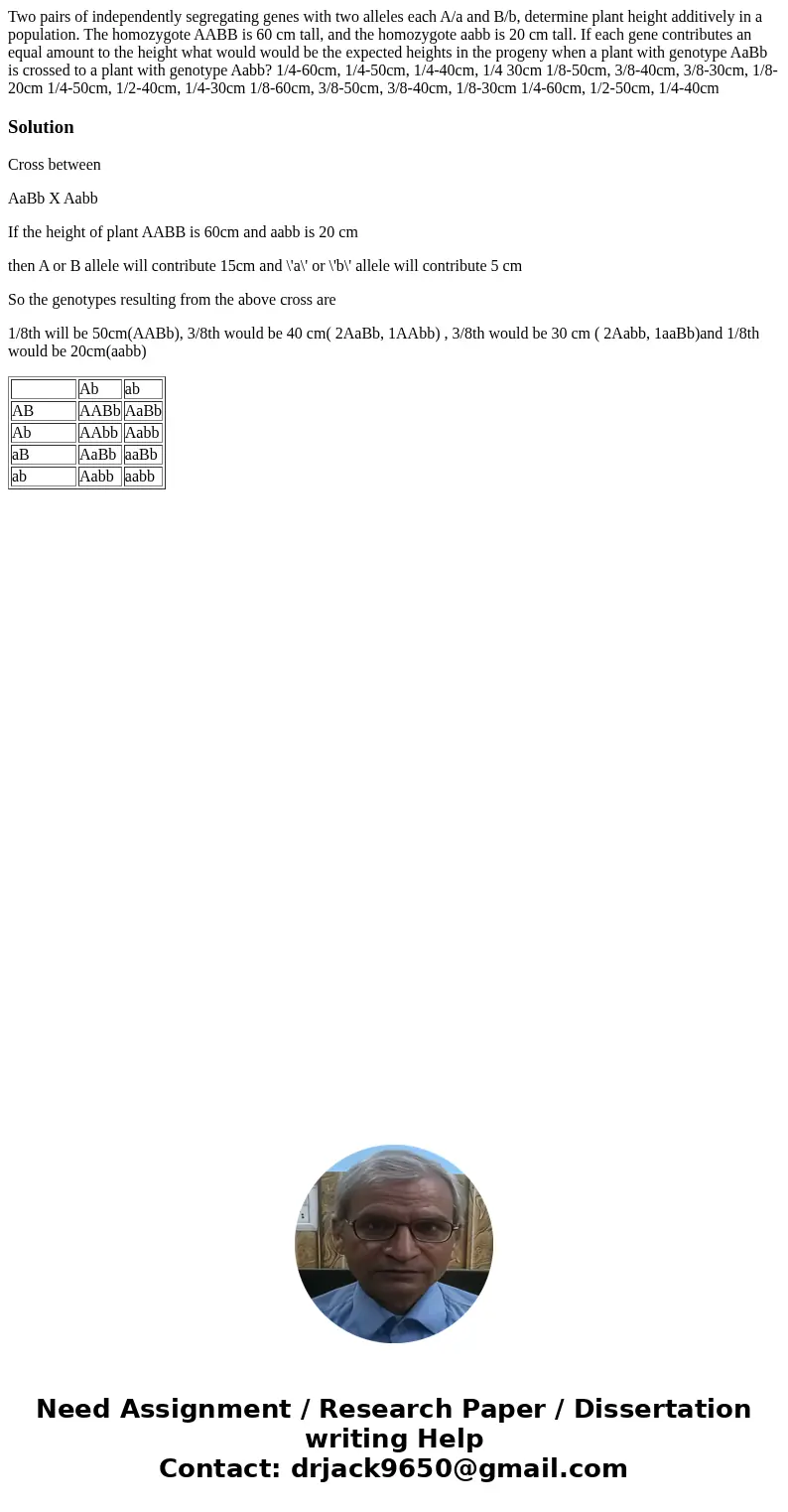  Two pairs of independently segregating genes with two alleles each A/a and B/b, determine plant height additively in a population. The homozygote AABB is 60 cm