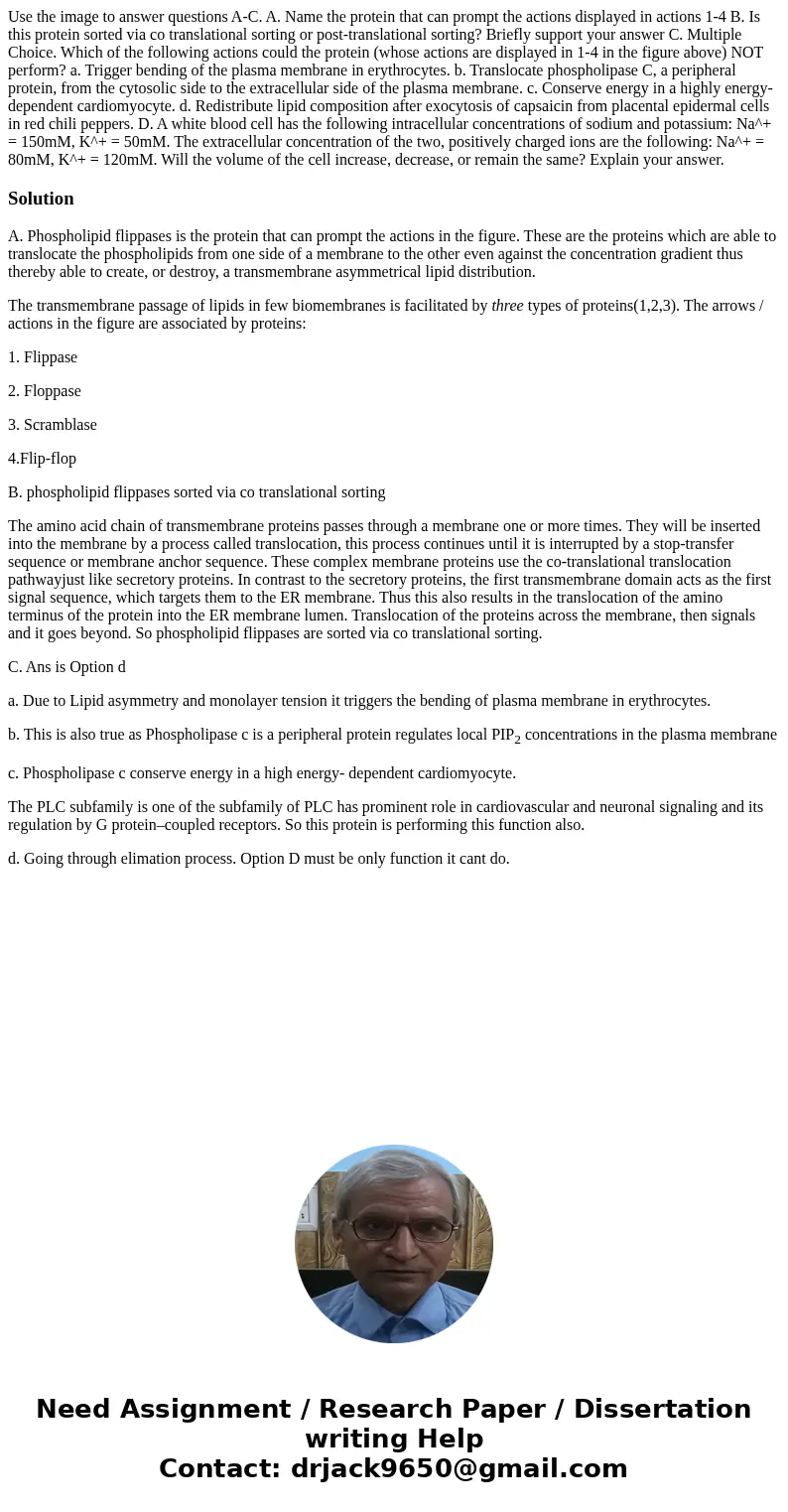 Use the image to answer questions A-C. A. Name the protein that can prompt the actions displayed in actions 1-4 B. Is this protein sorted via co translational   Use the image to answer questions A-C. A. Name the protein that can prompt the actions displayed in actions 1-4 B. Is this protein sorted via co translational
