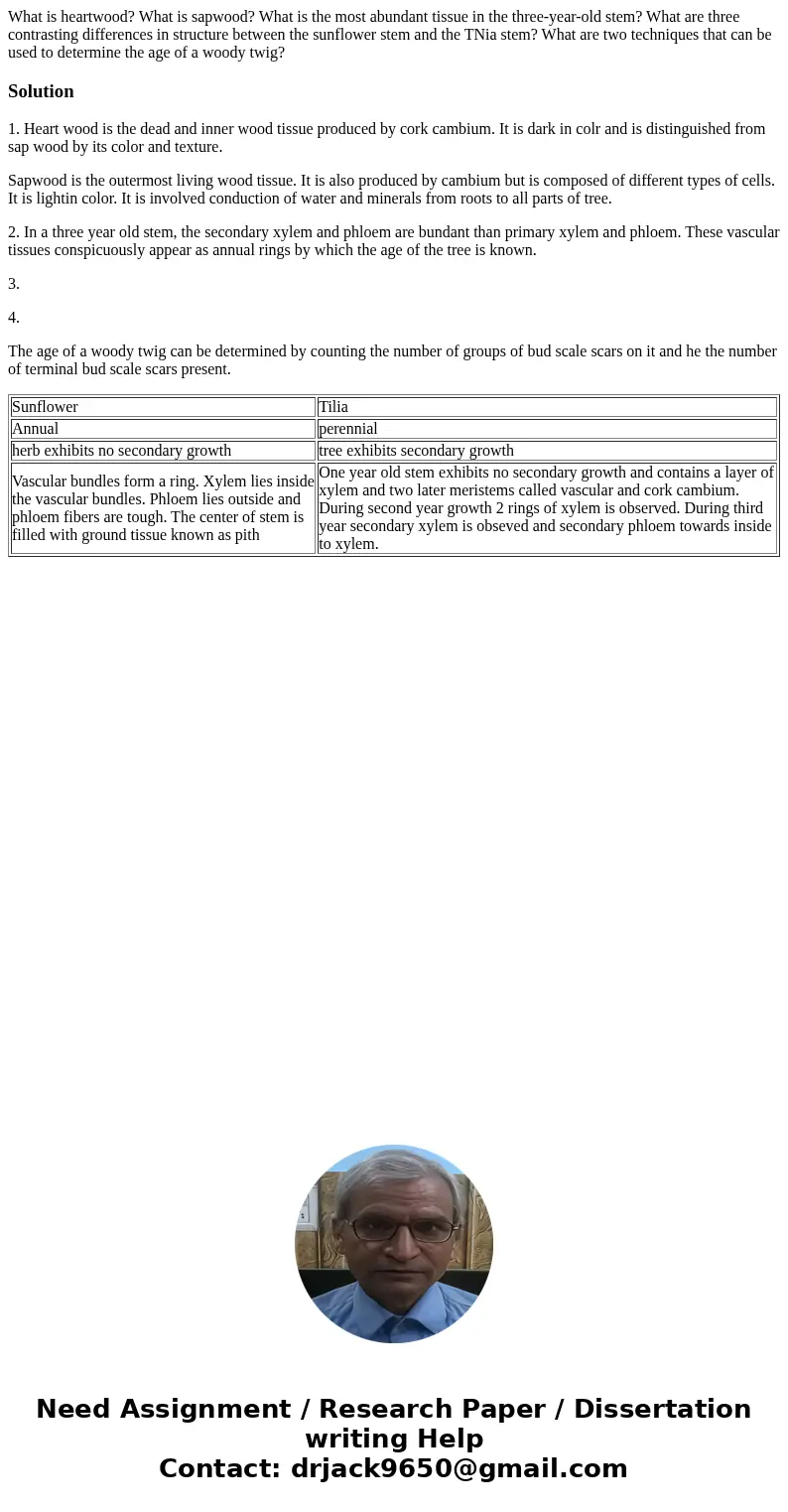 What is heartwood? What is sapwood? What is the most abundant tissue in the three-year-old stem? What are three contrasting differences in structure between th  What is heartwood? What is sapwood? What is the most abundant tissue in the three-year-old stem? What are three contrasting differences in structure between th