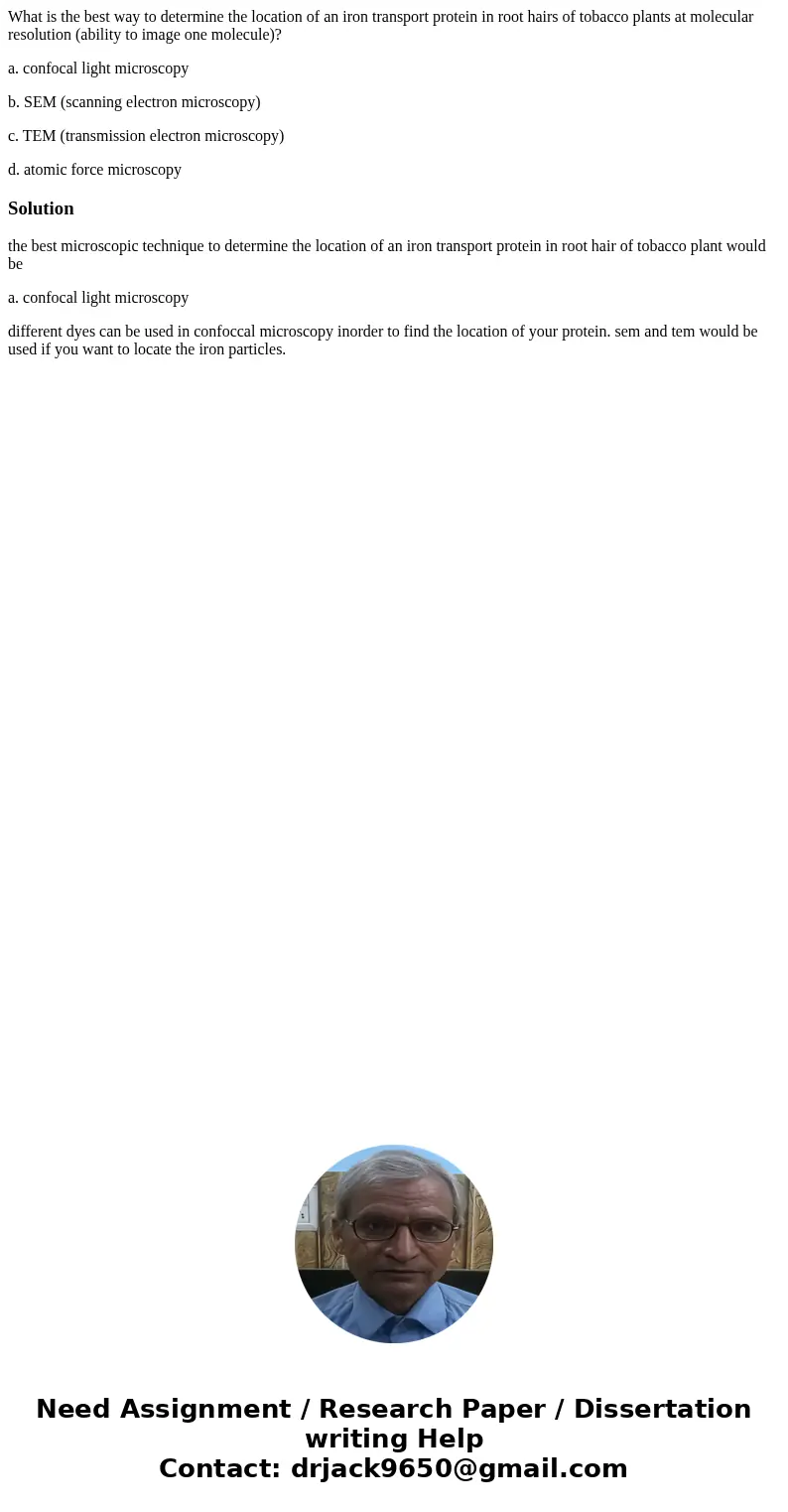 What is the best way to determine the location of an iron transport protein in root hairs of tobacco plants at molecular resolution (ability to image one molecu