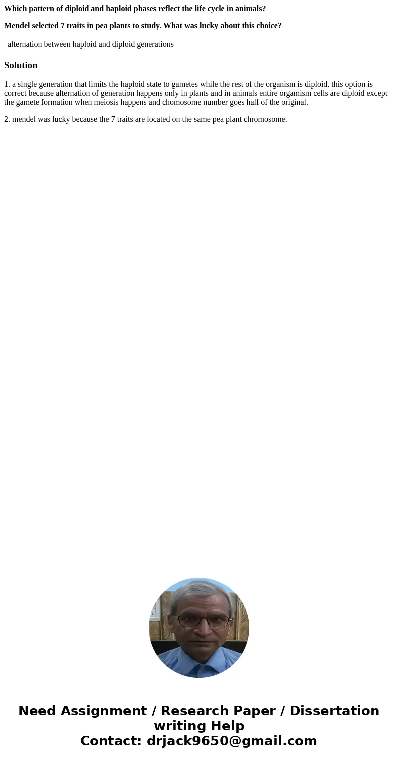 Which pattern of diploid and haploid phases reflect the life cycle in animals? Mendel selected 7 traits in pea plants to study. What was lucky about this choice Which pattern of diploid and haploid phases reflect the life cycle in animals? Mendel selected 7 traits in pea plants to study. What was lucky about this choice
