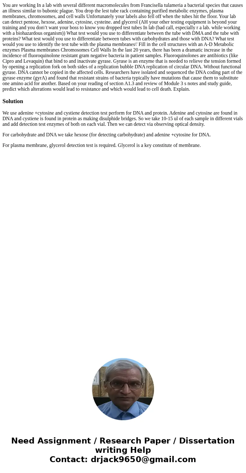 You are working In a lab with several different macromolecules from Francisella tulameria a bacterial species that causes an illness similar to bubonic plague.  You are working In a lab with several different macromolecules from Francisella tulameria a bacterial species that causes an illness similar to bubonic plague.