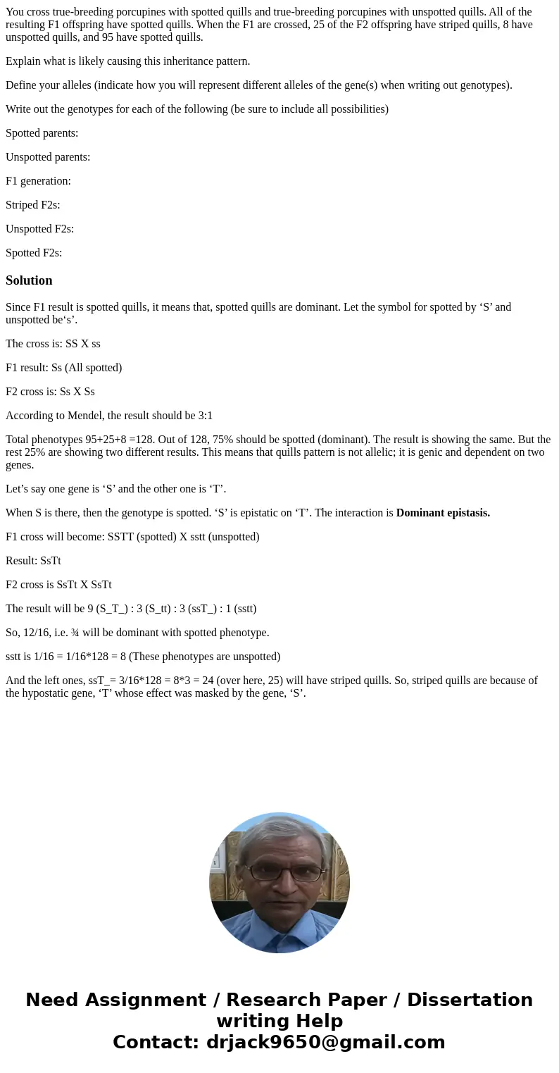 You cross true-breeding porcupines with spotted quills and true-breeding porcupines with unspotted quills. All of the resulting F1 offspring have spotted quills You cross true-breeding porcupines with spotted quills and true-breeding porcupines with unspotted quills. All of the resulting F1 offspring have spotted quills