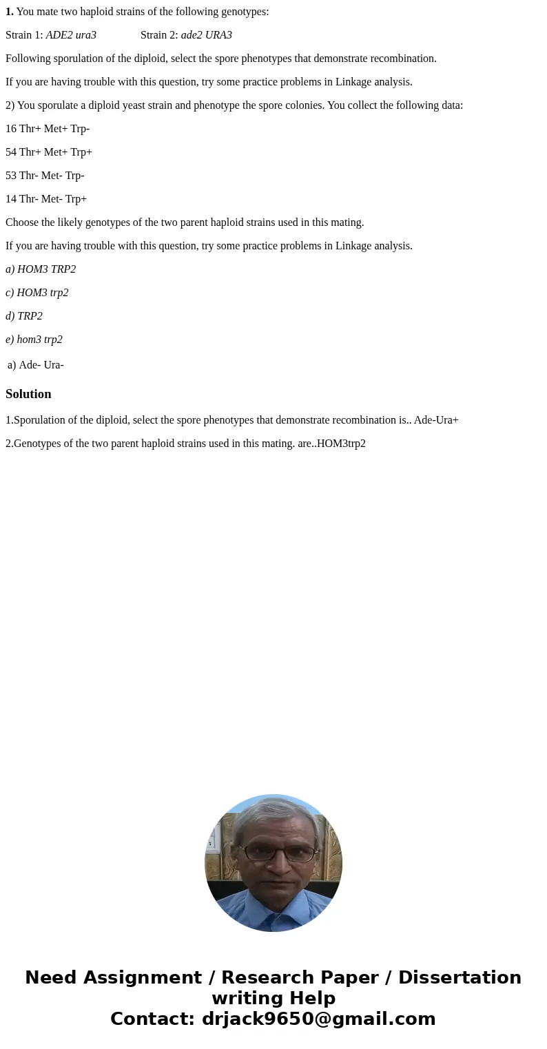 1. You mate two haploid strains of the following genotypes: Strain 1: ADE2 ura3 Strain 2: ade2 URA3 Following sporulation of the diploid, select the spore pheno 1. You mate two haploid strains of the following genotypes: Strain 1: ADE2 ura3 Strain 2: ade2 URA3 Following sporulation of the diploid, select the spore pheno