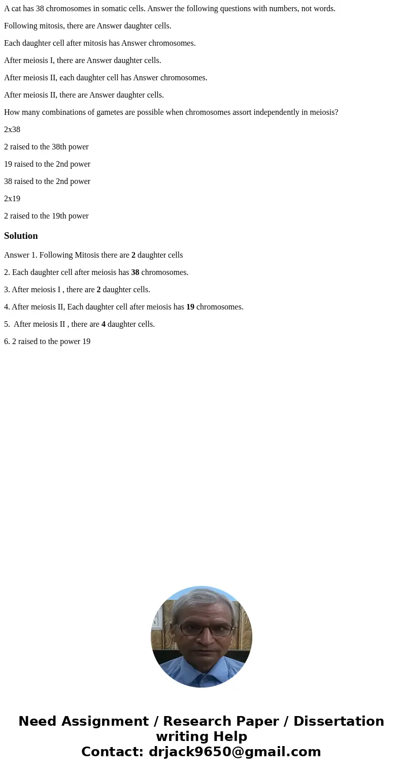 A cat has 38 chromosomes in somatic cells. Answer the following questions with numbers, not words. Following mitosis, there are Answer daughter cells. Each daug