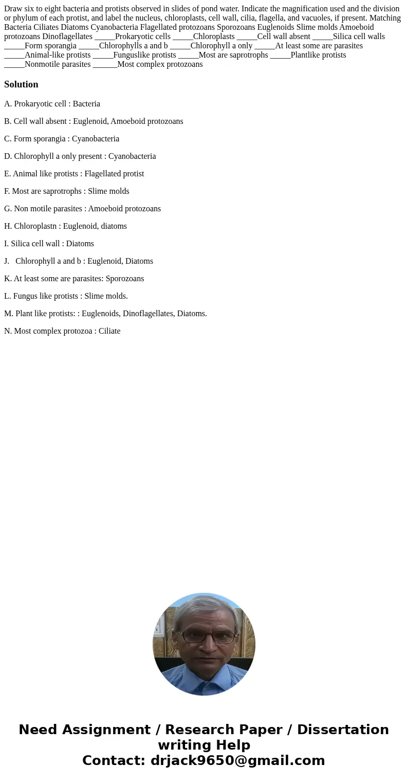 Draw six to eight bacteria and protists observed in slides of pond water. Indicate the magnification used and the division or phylum of each protist, and label  Draw six to eight bacteria and protists observed in slides of pond water. Indicate the magnification used and the division or phylum of each protist, and label