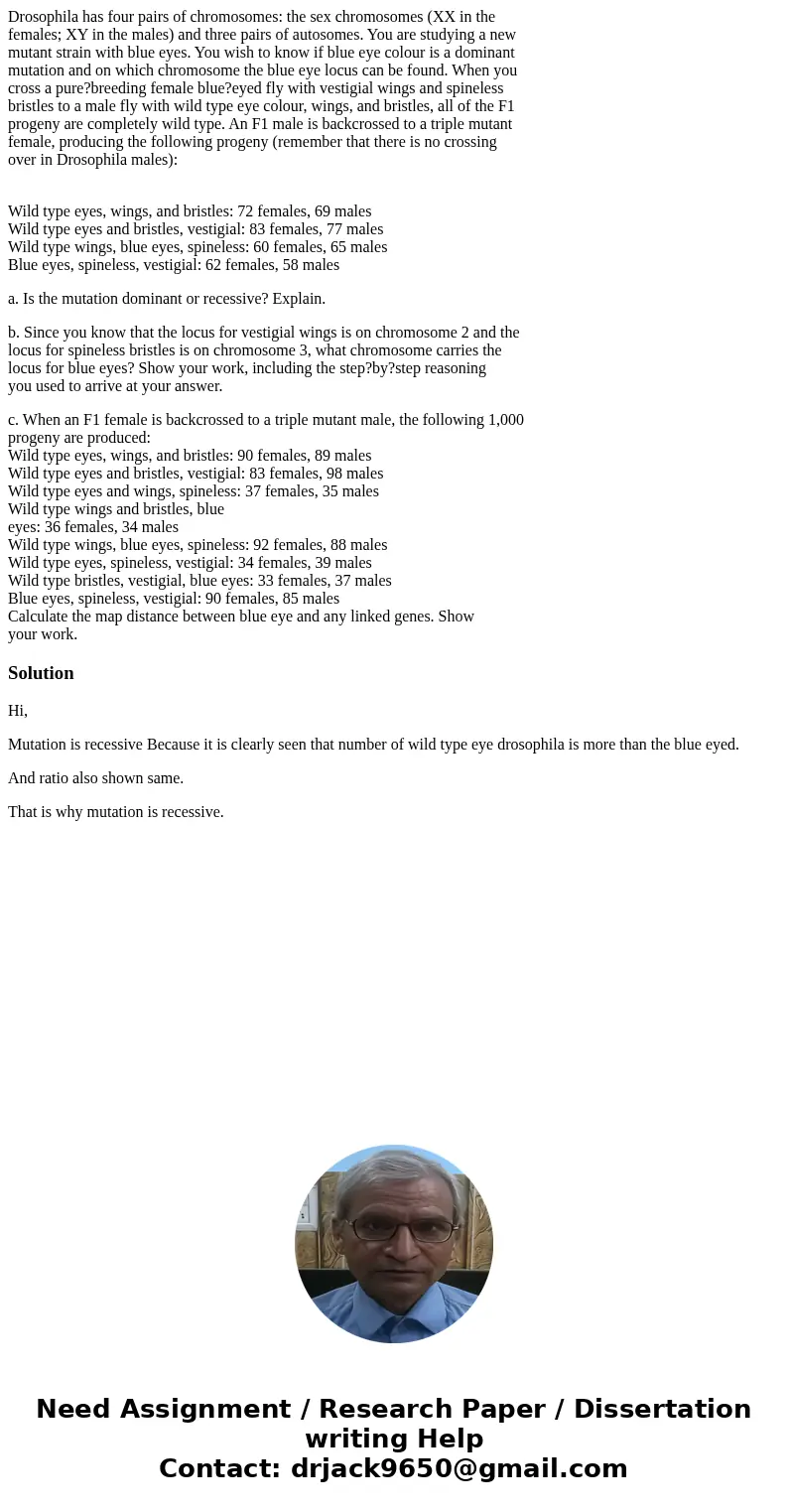 Drosophila has four pairs of chromosomes: the sex chromosomes (XX in the females; XY in the males) and three pairs of autosomes. You are studying a new mutant s Drosophila has four pairs of chromosomes: the sex chromosomes (XX in the females; XY in the males) and three pairs of autosomes. You are studying a new mutant s