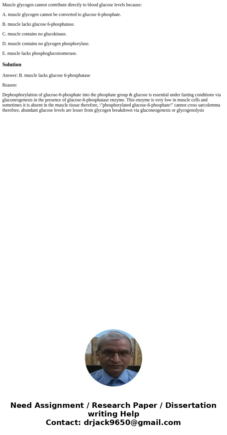 Muscle glycogen cannot contribute directly to blood glucose levels because: A. muscle glycogen cannot be converted to glucose 6-phosphate. B. muscle lacks gluco Muscle glycogen cannot contribute directly to blood glucose levels because: A. muscle glycogen cannot be converted to glucose 6-phosphate. B. muscle lacks gluco