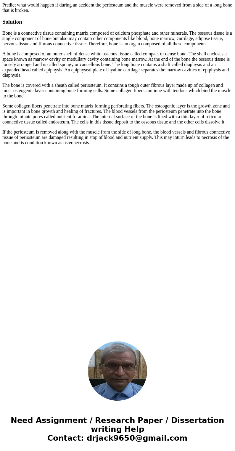 Predict what would happen if during an accident the periosteum and the muscle were removed from a side of a long bone that is broken.SolutionBone is a connectiv Predict what would happen if during an accident the periosteum and the muscle were removed from a side of a long bone that is broken.SolutionBone is a connectiv