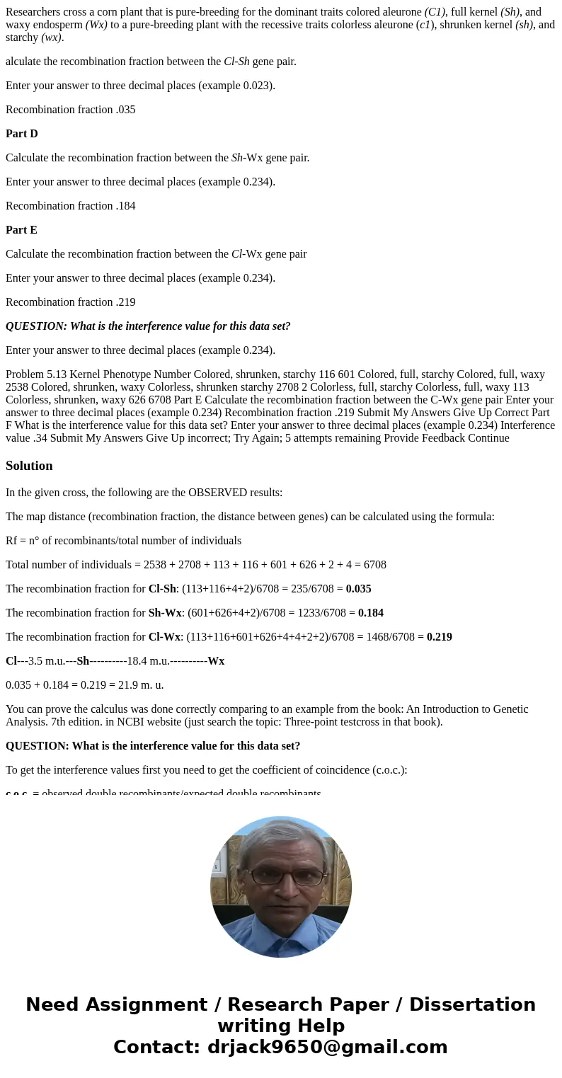 Researchers cross a corn plant that is pure-breeding for the dominant traits colored aleurone (C1), full kernel (Sh), and waxy endosperm (Wx) to a pure-breeding Researchers cross a corn plant that is pure-breeding for the dominant traits colored aleurone (C1), full kernel (Sh), and waxy endosperm (Wx) to a pure-breeding