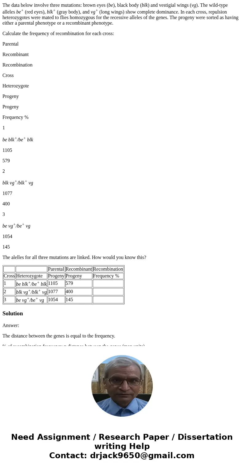 The data below involve three mutations: brown eyes (be), black body (blk) and vestigial wings (vg). The wild-type alleles be+ (red eyes), blk+ (gray body), and  The data below involve three mutations: brown eyes (be), black body (blk) and vestigial wings (vg). The wild-type alleles be+ (red eyes), blk+ (gray body), and