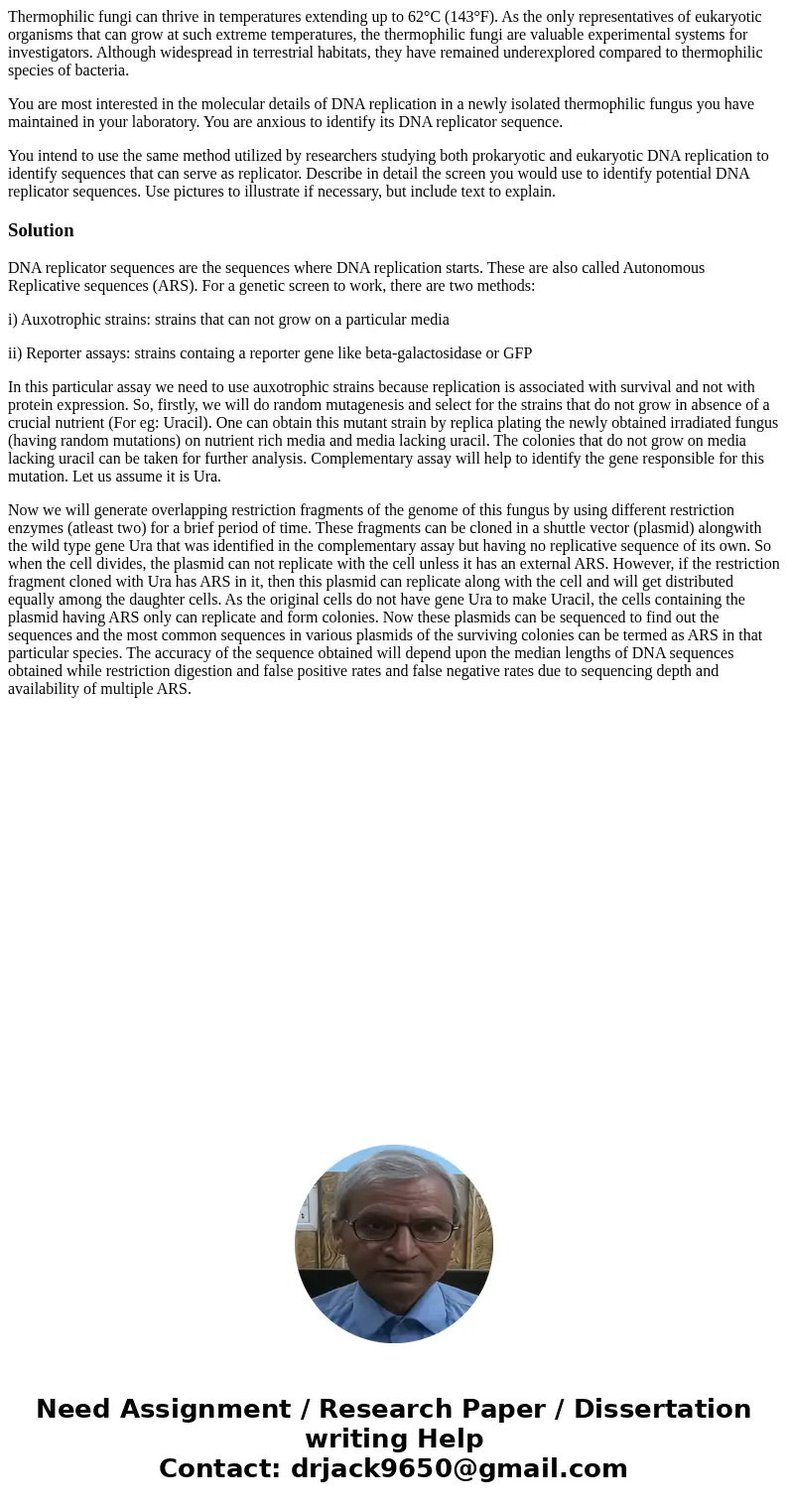 Thermophilic fungi can thrive in temperatures extending up to 62°C (143°F). As the only representatives of eukaryotic organisms that can grow at such extreme te Thermophilic fungi can thrive in temperatures extending up to 62°C (143°F). As the only representatives of eukaryotic organisms that can grow at such extreme te