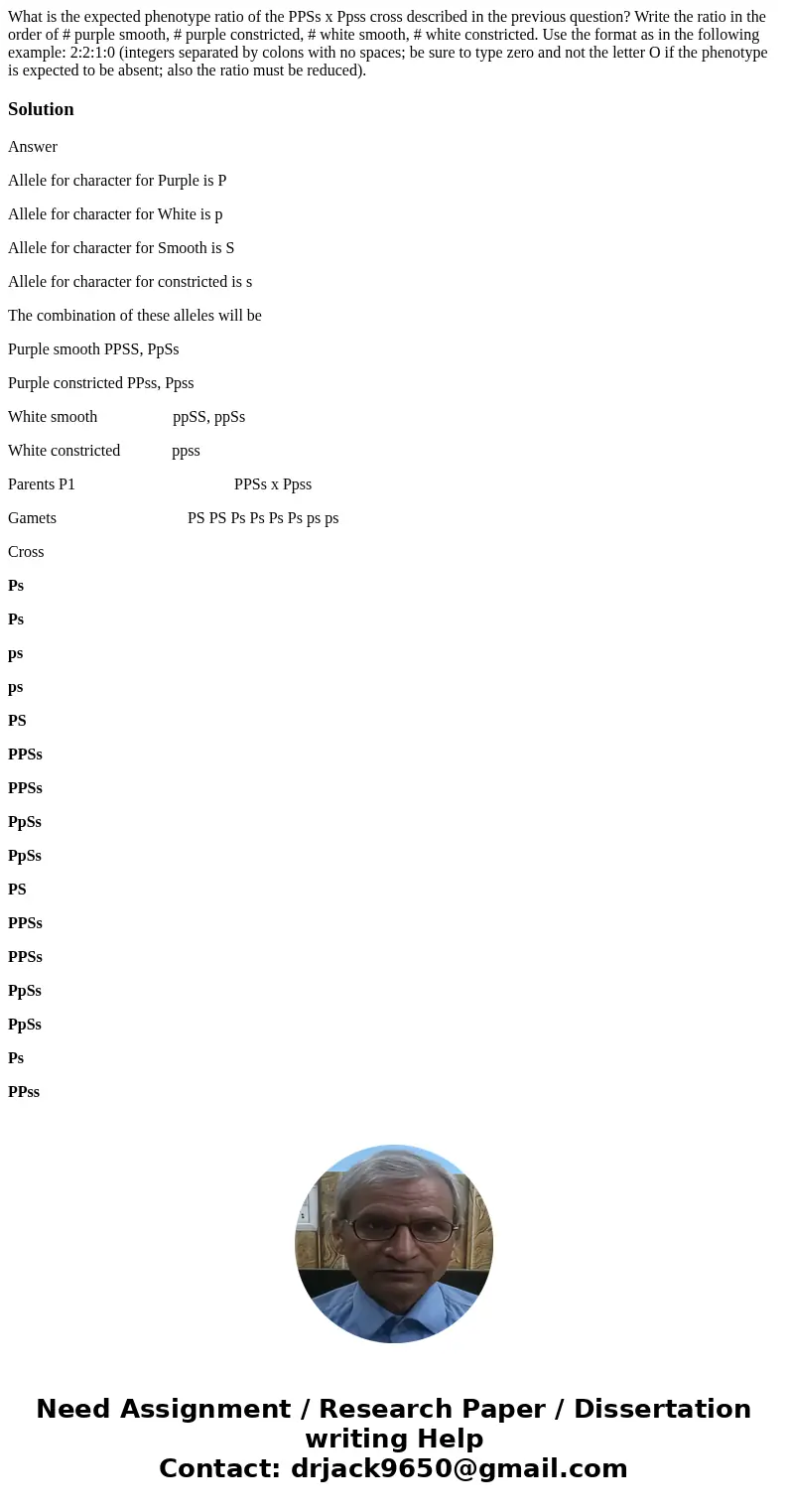 What is the expected phenotype ratio of the PPSs x Ppss cross described in the previous question? Write the ratio in the order of # purple smooth, # purple cons What is the expected phenotype ratio of the PPSs x Ppss cross described in the previous question? Write the ratio in the order of # purple smooth, # purple cons