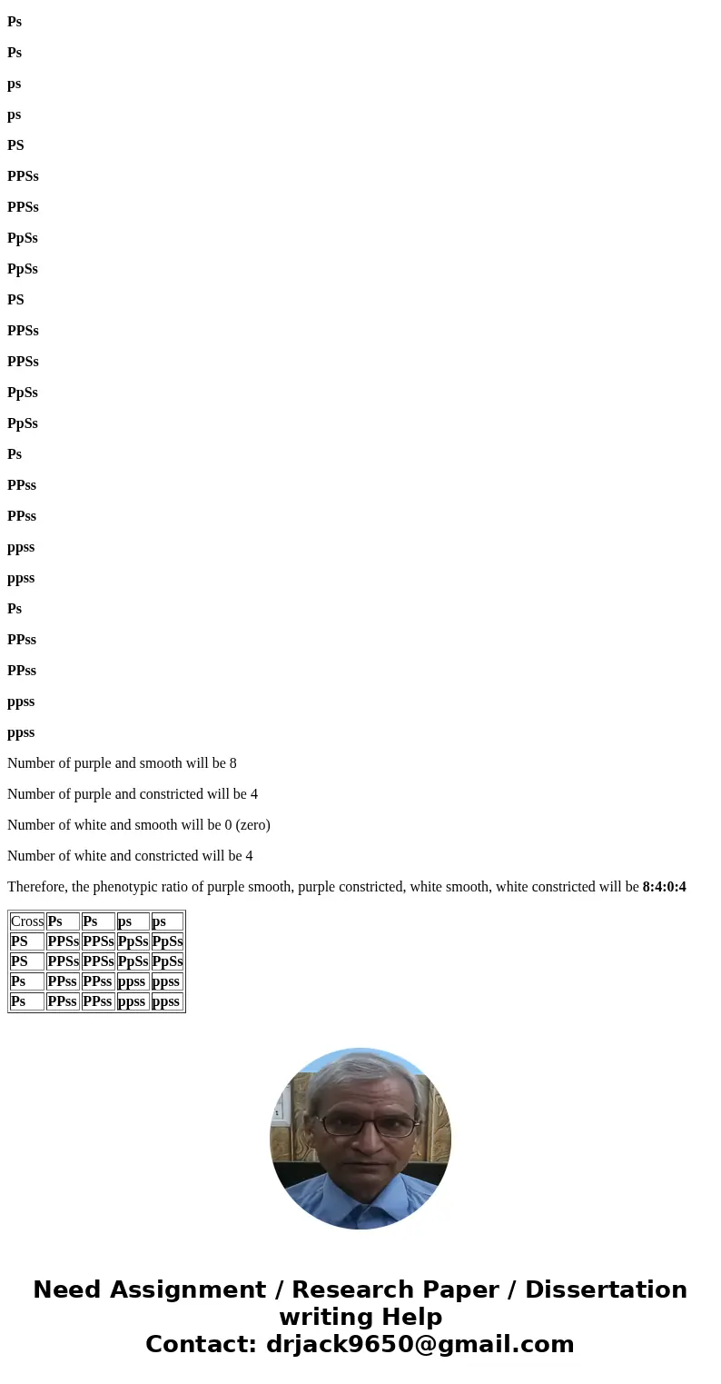 What is the expected phenotype ratio of the PPSs x Ppss cross described in the previous question? Write the ratio in the order of # purple smooth, # purple cons What is the expected phenotype ratio of the PPSs x Ppss cross described in the previous question? Write the ratio in the order of # purple smooth, # purple cons