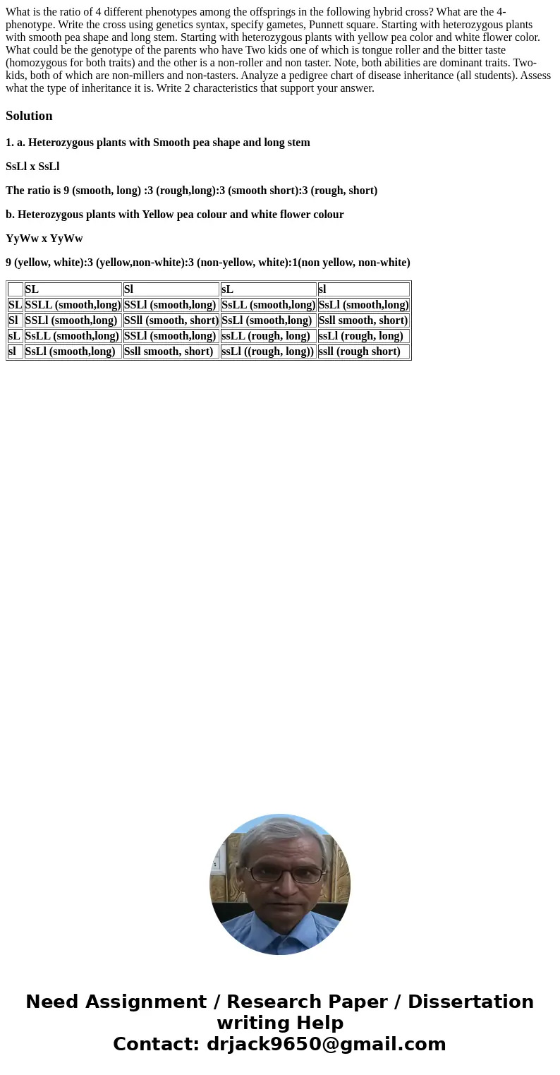 What is the ratio of 4 different phenotypes among the offsprings in the following hybrid cross? What are the 4-phenotype. Write the cross using genetics syntax  What is the ratio of 4 different phenotypes among the offsprings in the following hybrid cross? What are the 4-phenotype. Write the cross using genetics syntax