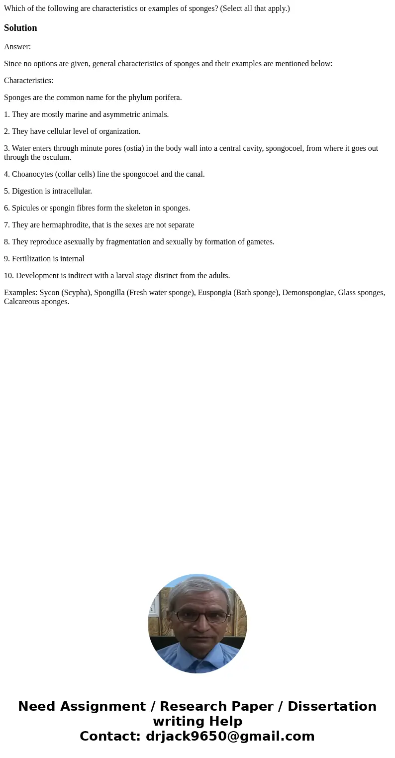Which of the following are characteristics or examples of sponges? (Select all that apply.)SolutionAnswer: Since no options are given, general characteristics o Which of the following are characteristics or examples of sponges? (Select all that apply.)SolutionAnswer: Since no options are given, general characteristics o