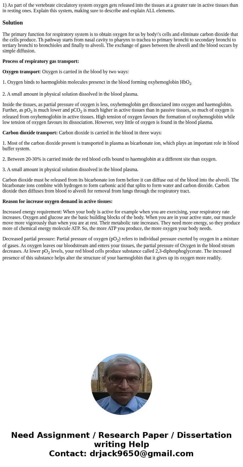 1) As part of the vertebrate circulatory system oxygen gets released into the tissues at a greater rate in active tissues than in resting ones. Explain this sys 1) As part of the vertebrate circulatory system oxygen gets released into the tissues at a greater rate in active tissues than in resting ones. Explain this sys