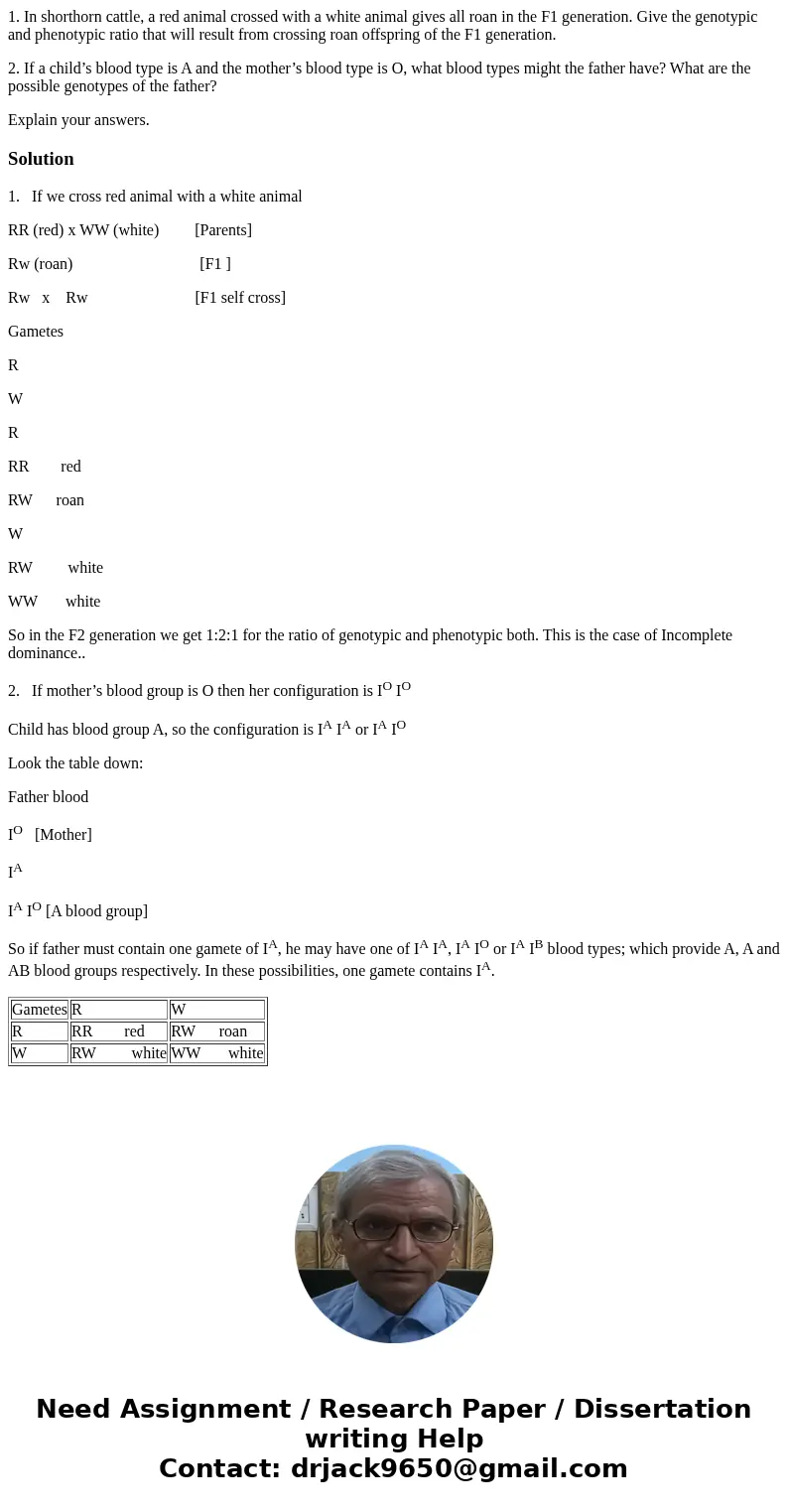 1. In shorthorn cattle, a red animal crossed with a white animal gives all roan in the F1 generation. Give the genotypic and phenotypic ratio that will result f 1. In shorthorn cattle, a red animal crossed with a white animal gives all roan in the F1 generation. Give the genotypic and phenotypic ratio that will result f