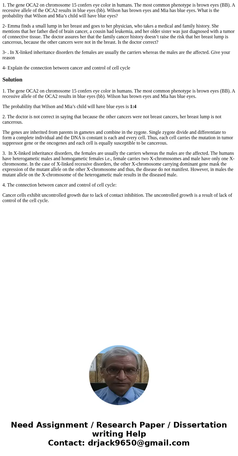 1. The gene OCA2 on chromosome 15 confers eye color in humans. The most common phenotype is brown eyes (BB). A recessive allele of the OCA2 results in blue eyes 1. The gene OCA2 on chromosome 15 confers eye color in humans. The most common phenotype is brown eyes (BB). A recessive allele of the OCA2 results in blue eyes