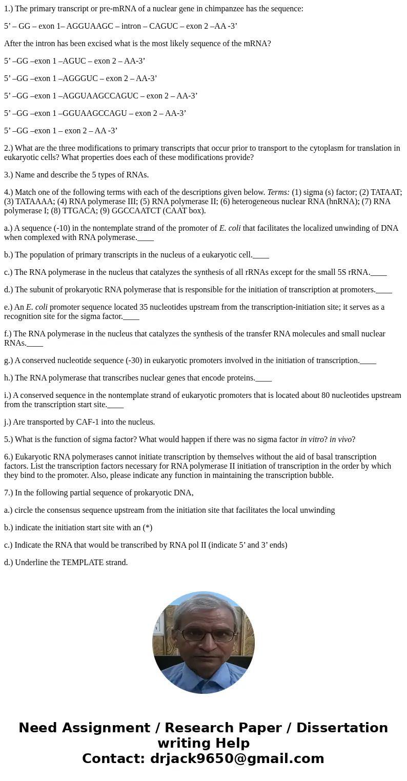 1.) The primary transcript or pre-mRNA of a nuclear gene in chimpanzee has the sequence: 5’ – GG – exon 1– AGGUAAGC – intron – CAGUC – exon 2 –AA -3’ After the  1.) The primary transcript or pre-mRNA of a nuclear gene in chimpanzee has the sequence: 5’ – GG – exon 1– AGGUAAGC – intron – CAGUC – exon 2 –AA -3’ After the