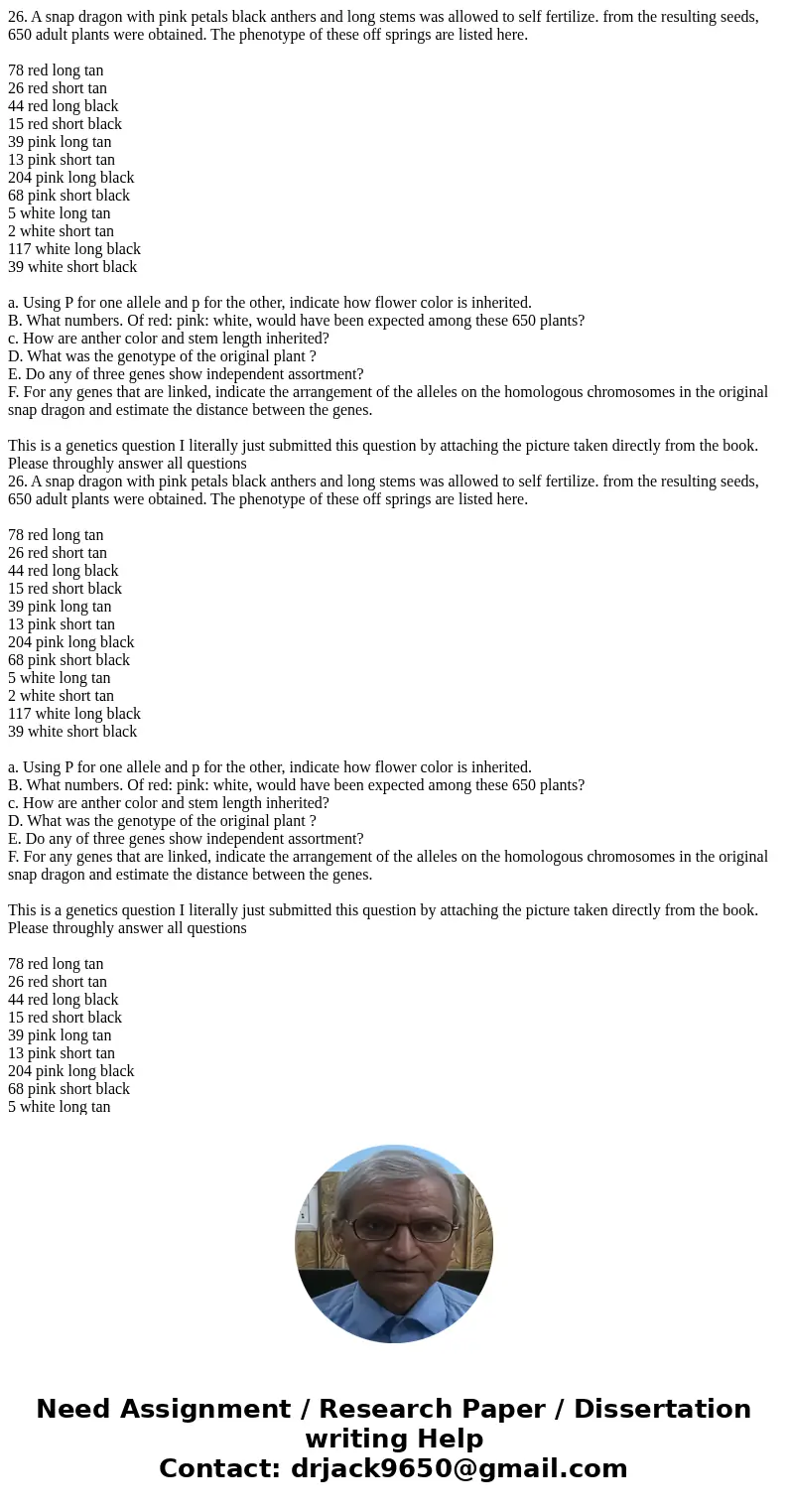 26. A snap dragon with pink petals black anthers and long stems was allowed to self fertilize. from the resulting seeds, 650 adult plants were obtained. The phe