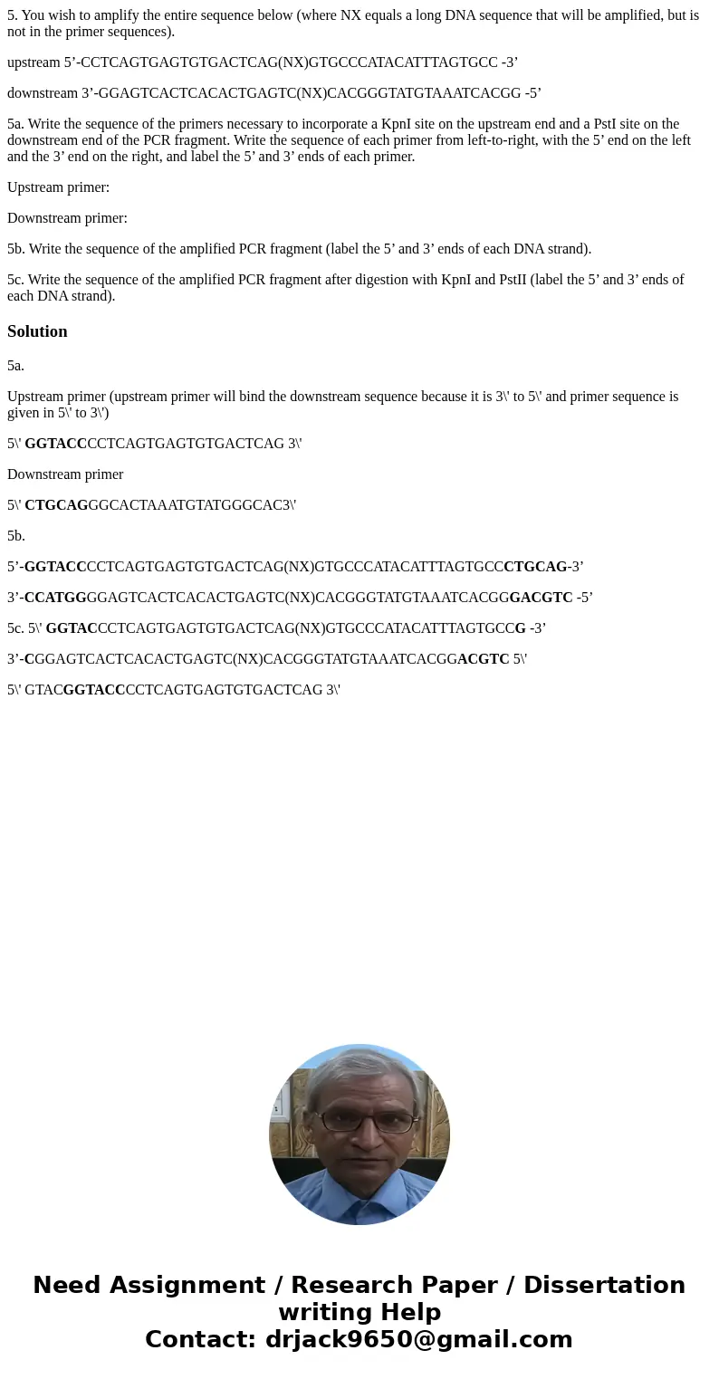 5. You wish to amplify the entire sequence below (where NX equals a long DNA sequence that will be amplified, but is not in the primer sequences). upstream 5’-C 5. You wish to amplify the entire sequence below (where NX equals a long DNA sequence that will be amplified, but is not in the primer sequences). upstream 5’-C