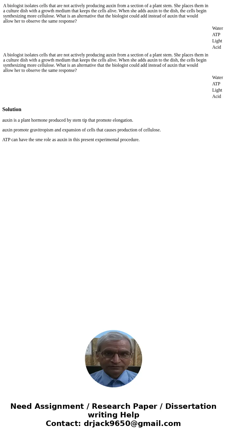  A biologist isolates cells that are not actively producing auxin from a section of a plant stem. She places them in a culture dish with a growth medium that ke