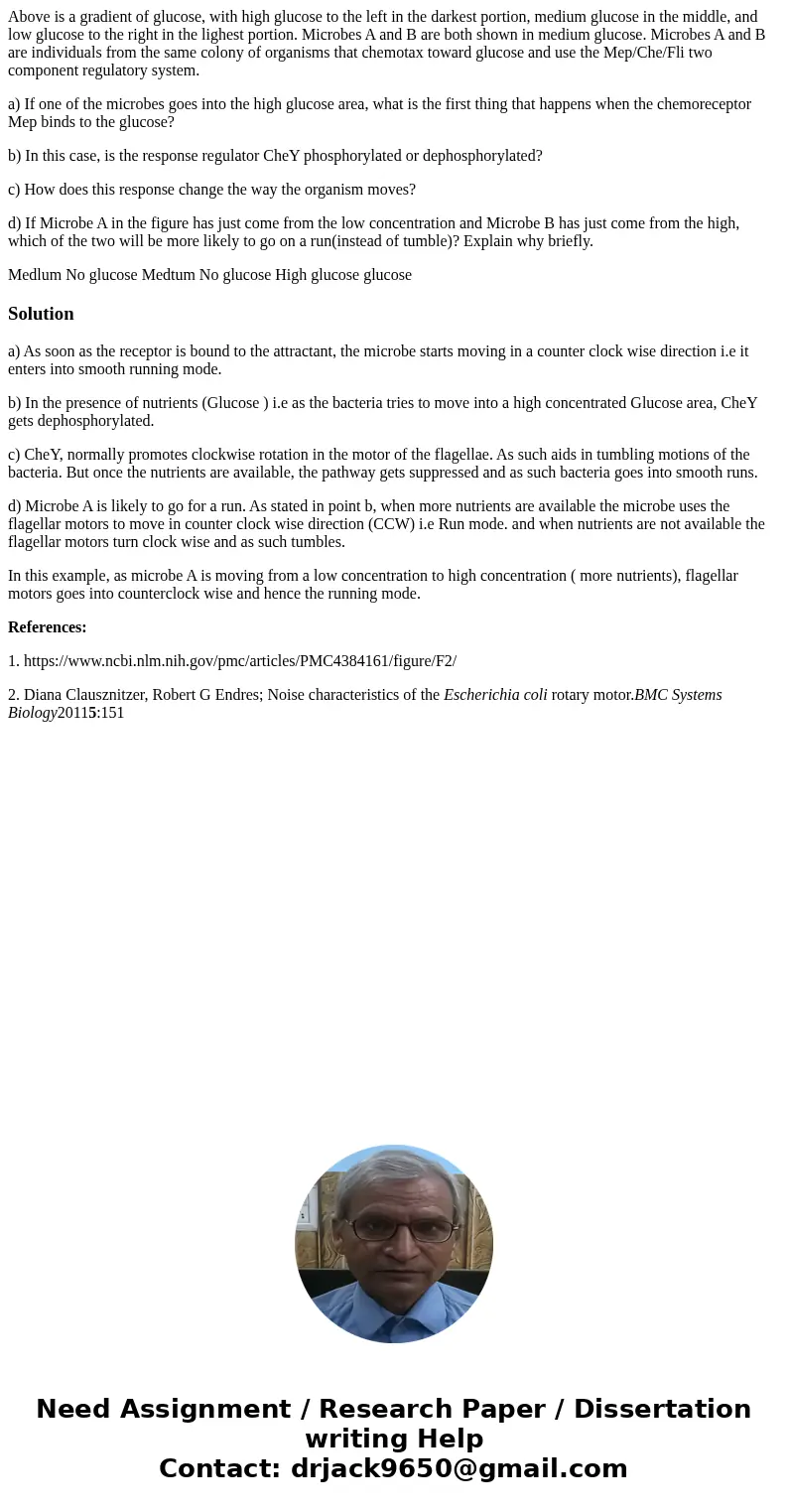 Above is a gradient of glucose, with high glucose to the left in the darkest portion, medium glucose in the middle, and low glucose to the right in the lighest  Above is a gradient of glucose, with high glucose to the left in the darkest portion, medium glucose in the middle, and low glucose to the right in the lighest