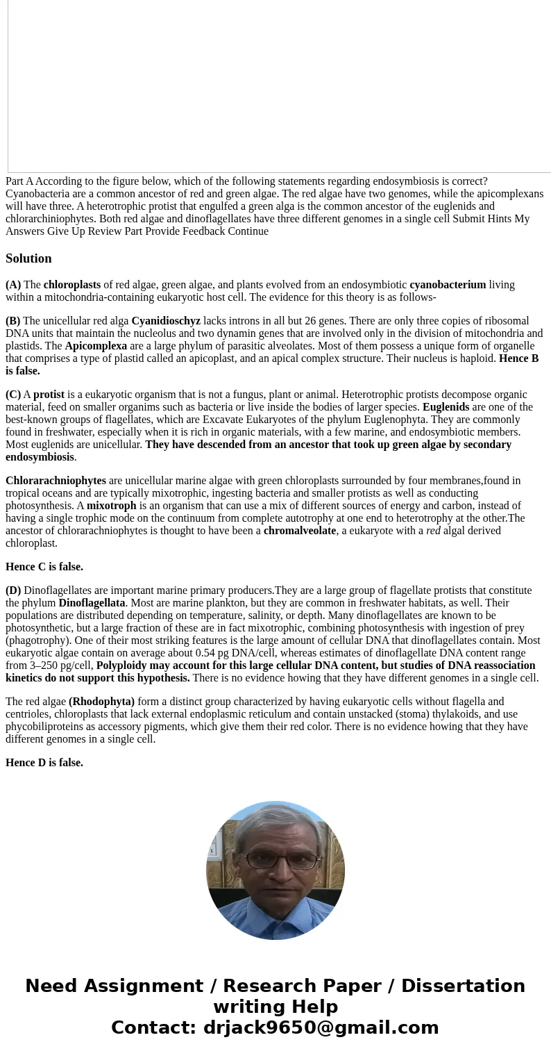 According to the figure below, which of the following statements regarding endosymbiosis is correct? D) Both red algae and dinoflagellates have three different 
