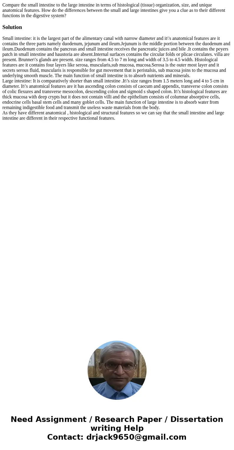 Compare the small intestine to the large intestine in terms of histological (tissue) organization, size, and unique anatomical features. How do the differences  Compare the small intestine to the large intestine in terms of histological (tissue) organization, size, and unique anatomical features. How do the differences