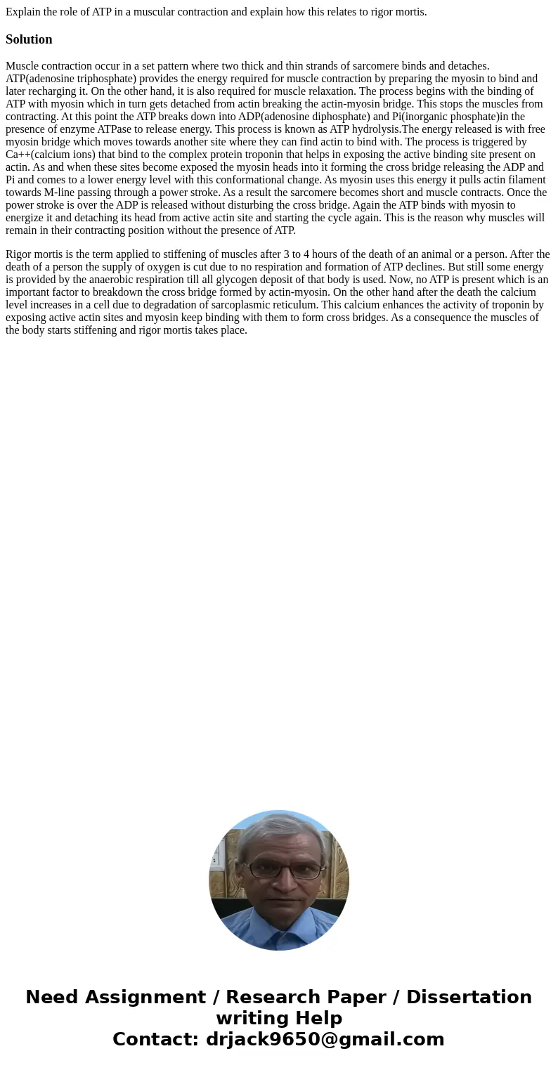 Explain the role of ATP in a muscular contraction and explain how this relates to rigor mortis.SolutionMuscle contraction occur in a set pattern where two thick Explain the role of ATP in a muscular contraction and explain how this relates to rigor mortis.SolutionMuscle contraction occur in a set pattern where two thick