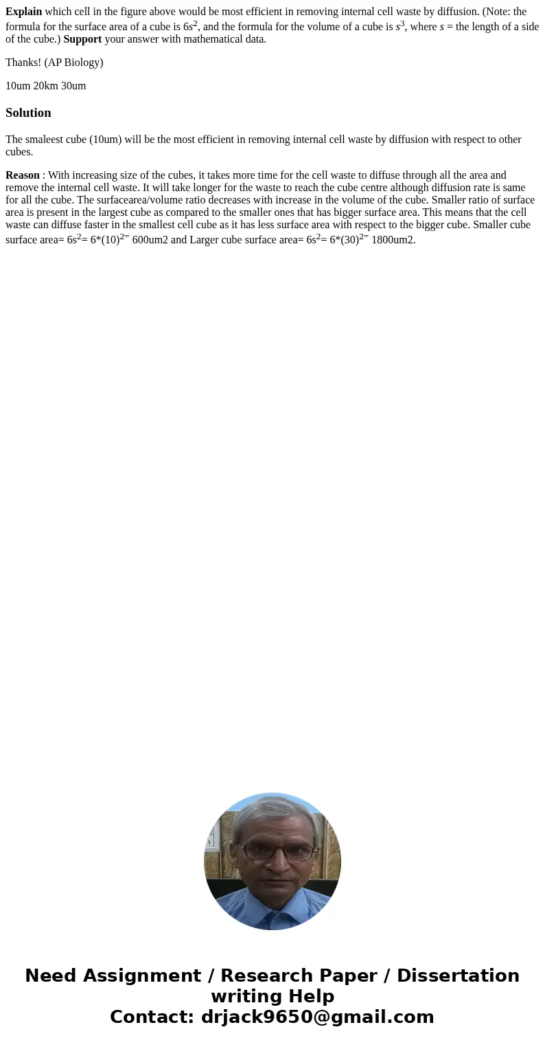 Explain which cell in the figure above would be most efficient in removing internal cell waste by diffusion. (Note: the formula for the surface area of a cube i Explain which cell in the figure above would be most efficient in removing internal cell waste by diffusion. (Note: the formula for the surface area of a cube i
