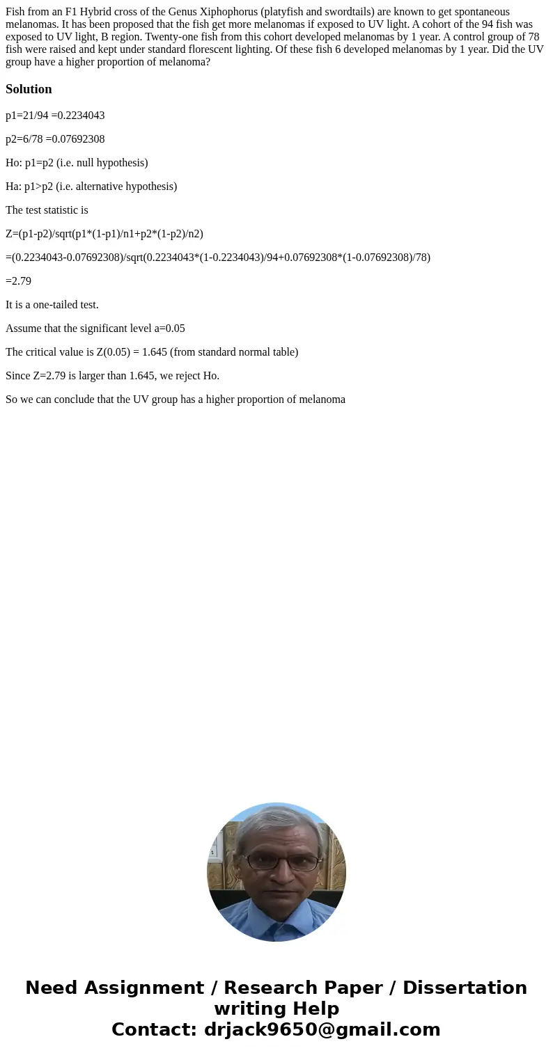 Fish from an F1 Hybrid cross of the Genus Xiphophorus (platyfish and swordtails) are known to get spontaneous melanomas. It has been proposed that the fish get  Fish from an F1 Hybrid cross of the Genus Xiphophorus (platyfish and swordtails) are known to get spontaneous melanomas. It has been proposed that the fish get