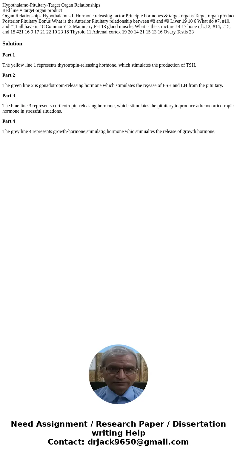 Hypothalamo-Pituitary-Target Organ Relationships Red line = target organ product Organ Relationships Hypothalamus L Hormone releasing factor Principle hormones  Hypothalamo-Pituitary-Target Organ Relationships Red line = target organ product Organ Relationships Hypothalamus L Hormone releasing factor Principle hormones