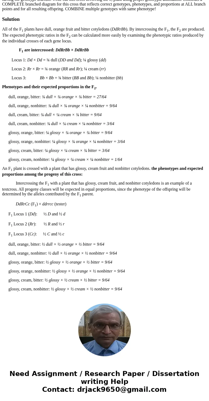 In cucumbers, dull fruit (D) is dominant over glossy (d) fruit, orange fruit (R) is dominant over cream fruit (r), a bitter cotyledon (B) is dominant over non-  In cucumbers, dull fruit (D) is dominant over glossy (d) fruit, orange fruit (R) is dominant over cream fruit (r), a bitter cotyledon (B) is dominant over non-