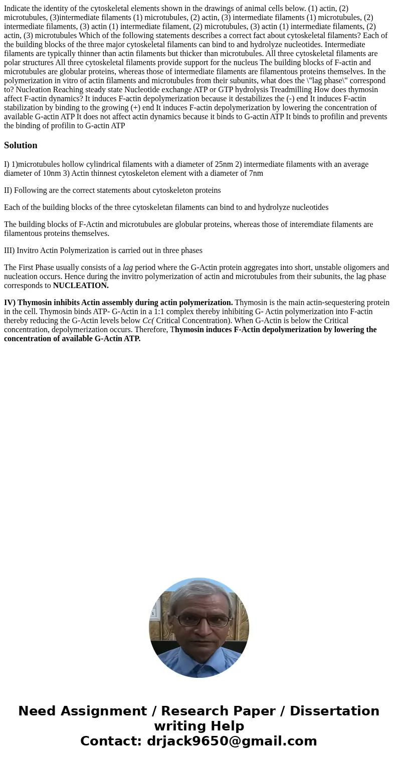  Indicate the identity of the cytoskeletal elements shown in the drawings of animal cells below. (1) actin, (2) microtubules, (3)intermediate filaments (1) micr