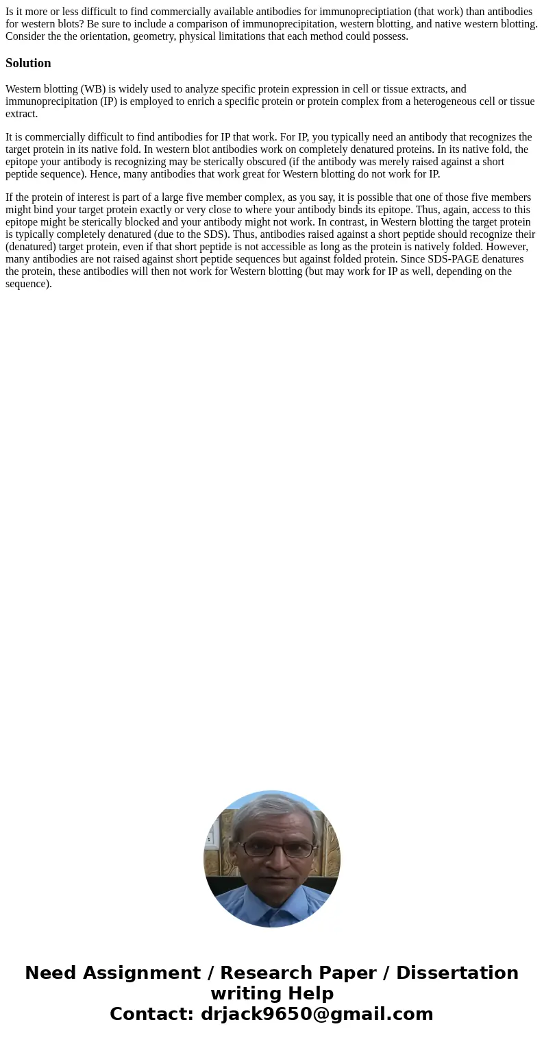 Is it more or less difficult to find commercially available antibodies for immunopreciptiation (that work) than antibodies for western blots? Be sure to include Is it more or less difficult to find commercially available antibodies for immunopreciptiation (that work) than antibodies for western blots? Be sure to include